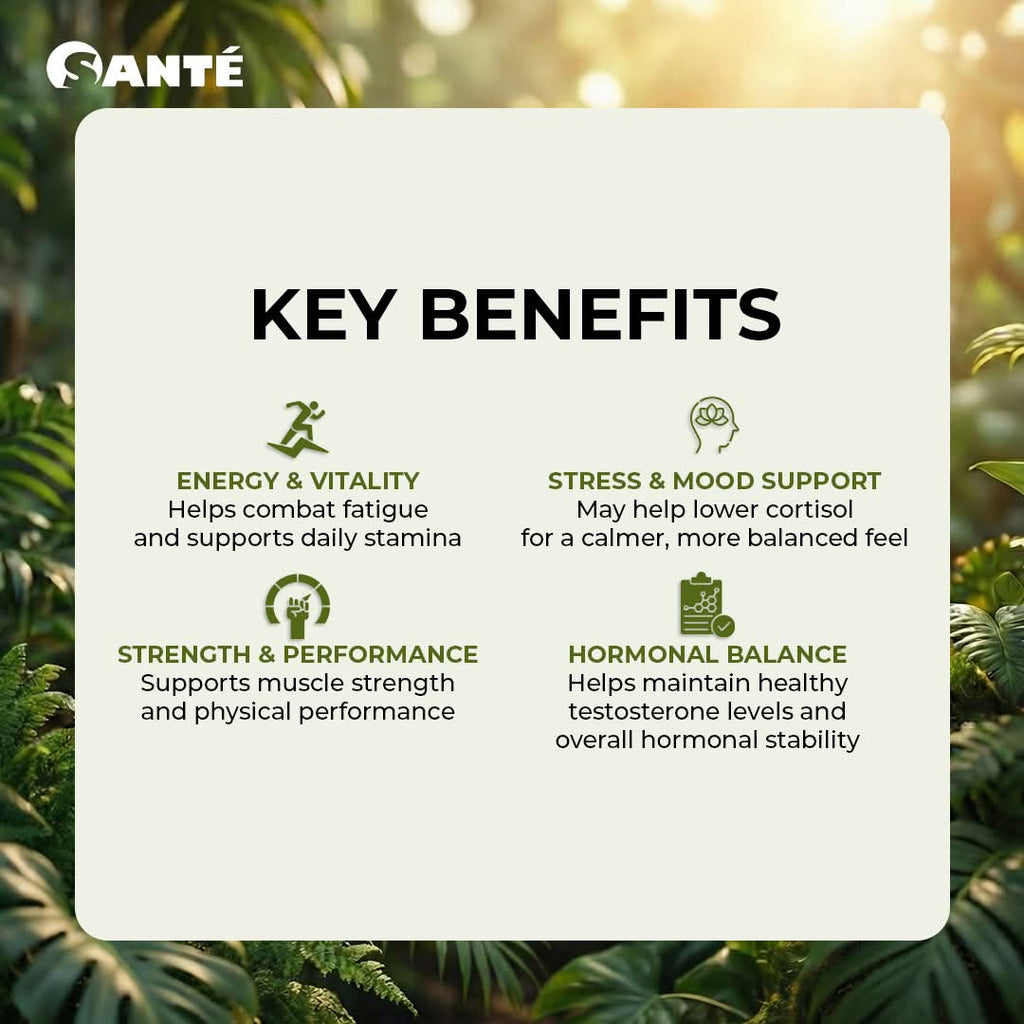 Boost Coffee (15gms x 10 Sachets)