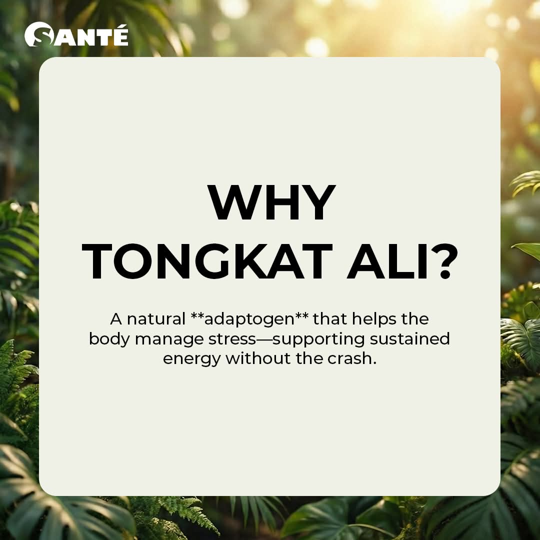 Boost Coffee (15gms x 10 Sachets)