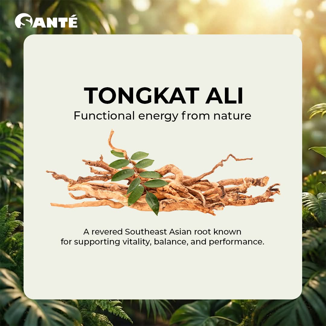 Boost Coffee (15gms x 10 Sachets)