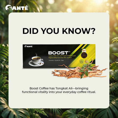 Boost Coffee (15gms x 10 Sachets)